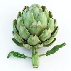 Obraz premium a green artichoke with leaves and stem