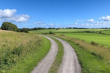 Fototapeta premium Panoramic view on a dirt road in September with corn, rapeseed, sugar beet and few trees