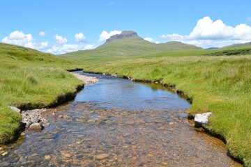 Fototapeta premium Peaceful stream flowing through a green mountain landscape