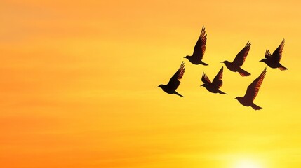 Fototapeta premium Stunning Silhouette of Birds Flying Against Vibrant Sunset Sky