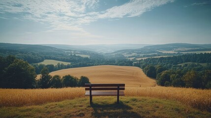 Bench view of golden field and forest under bright sky for travel destination