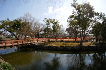 Fototapeta premium 広角魚眼レンズで撮る田舎の公園風景