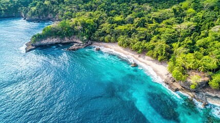 Obraz premium Secluded Tropical Beach Paradise Aerial View of Ocean Shore and Lush Green Jungle