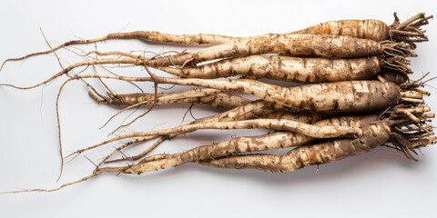 A bunch of large roots isolated on a white background.