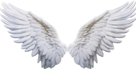 Obraz premium Majestic white angel wings isolated transparent background feathery divine heavenly