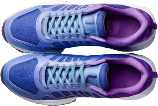 Stylish Blue and Purple Athletic Sneakers Women s Running Shoes Fitness Footwear Top View