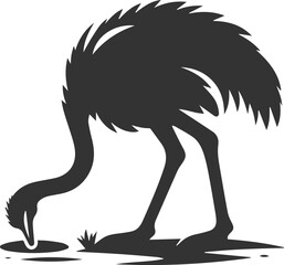 Obraz premium Ostrich digging a shallow hole with its beak animal vector silhouette