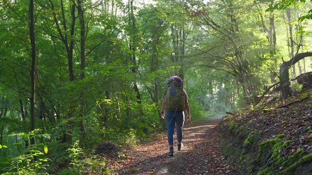 Following behind a backpacking person walking in a foggy forest path surrounded by tall trees at sunrise, Rhine Valley, Germany