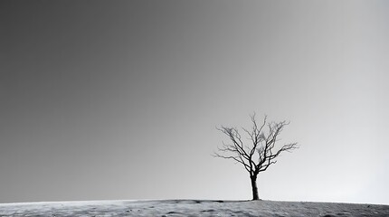 A minimalist black and white photograph depicting a single, stark tree against a vast, empty sky, emphasizing clean lines and negative space, employing a high-contrast, grainy texture remini.
