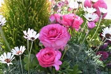 bouquet of flowers