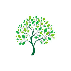 Green Tree Transparent PNG
