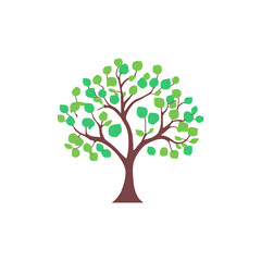 Fototapeta premium Green Tree Transparent PNG