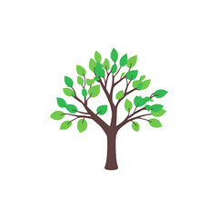 Obraz premium Green Tree Transparent PNG