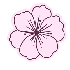 
Cherry flower blossom, botanical art. Spring almond, sakura, branch, hand draw doodle line art illustration.colored black art, isolated on white background. Realistic floral bloom sketch.
