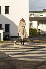 Obraz premium Woman walks her small dog across a zebra crossing in an urban area on a sunny afternoon