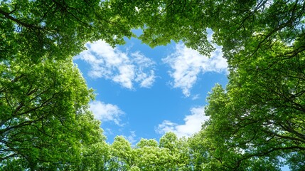Heart Shaped Canopy of Lush Green Leaves Against a Bright Blue Sky with Fluffy White Clouds