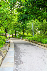 Peaceful walkway surrounded by lush greenery in Pittsburgh Pennsylvania