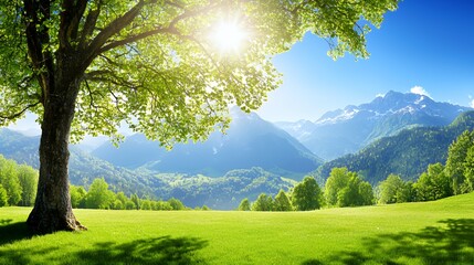 Bright Sunny Day in Mountain Landscape with Green Field and Lush Tree
