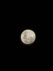 Fototapeta premium full moon over black