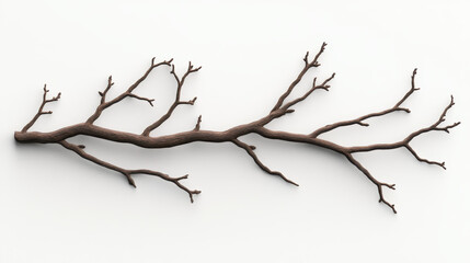 Twisted Branch with Detailed Twigs and Textured Bark on White Background