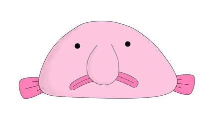 Blobfish simple character, deep sea creature with frowning face with a transparent background.
