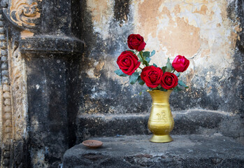 red rose in the gold vase