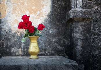 red rose in the gold vase