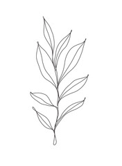 green leaves vector hand drawn
