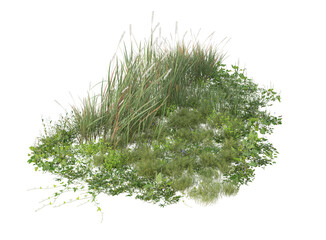 green grass isolated on white