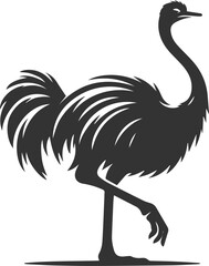 Obraz premium Ostrich stretching its long legs animal vector silhouette