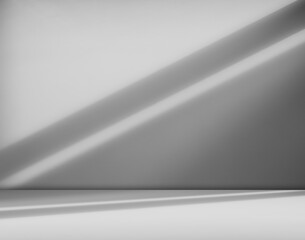 Background wall shadow kitchen floor grey white abstract studio concrete table white texture light texture mockup product marble room display plant cement minimal shelft bar leaves backdrop