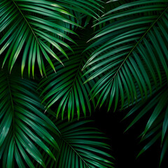 Palm leaves mockup illustration