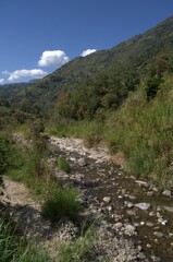 La gran cantidad de montañas y su verdor natural proporciona grandes cantidades de agua utiles a...