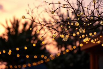 Decorated branch with glowing string lights bokeh against a serene sunset