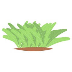 Grass Border Vector Illustration with Simple Design. Isolated on White Background
