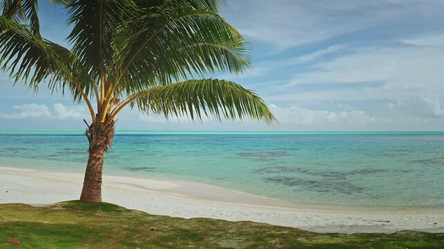 Green palm tree leaves swaying gently in the wind on a beautiful white sand beach with turquoise water and blue sky creating a perfect tropical paradise. Exotic travel vacation getaway. Static shot