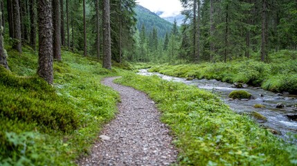 Fototapeta premium Winding forest trail beside stream, mountain backdrop; nature hike