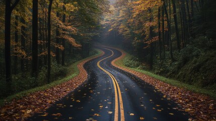 Fototapeta premium Winding Road Through Autumn Forest with Yellow Lines and Wet Leaves