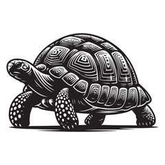 Tortoise walking Silhouette Vector Illustration, Solid White Background.