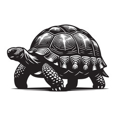 Tortoise walking Silhouette Vector Illustration, Solid White Background.
