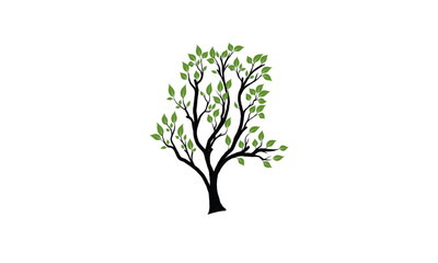 tree branch with green leaves