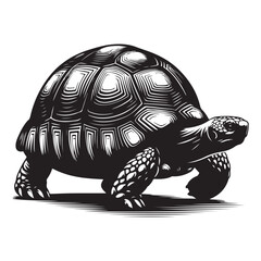 Tortoise walking Silhouette Vector Illustration, Solid White Background.