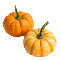 Fototapeta premium Two mini pumpkins isolated on a transparent background