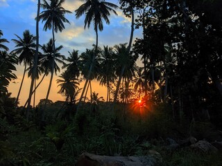 
 Save to Library
 Download Preview
 Preview Crop
 Find Similar
 
File #:  497130308
Romantic vibes...