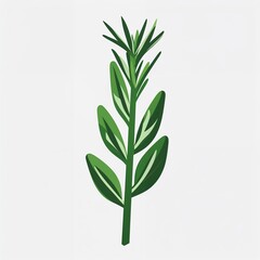 rosemary icon on plain white background