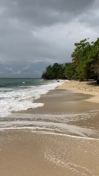 Tropical Beach in Martinique with Waves and Greenery