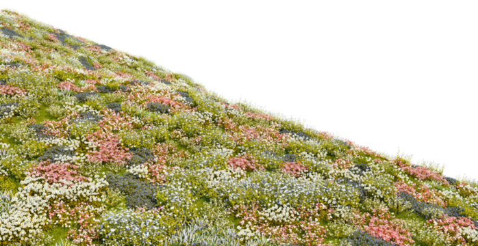 3D render of colorful flower field on a hill with transparent background.