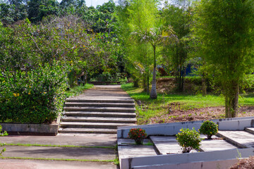 Footpath In Green City Park At Morning With Tall Trees