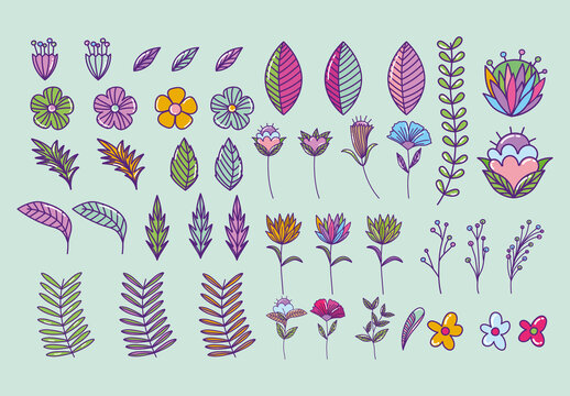 Colorful Floral Elements and Leaves Illustration Set