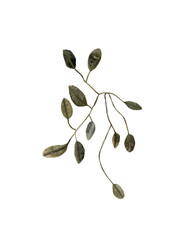 Set of simple green leaves, twigs, branches. Watercolor hand drawn isolated illustrations. Clipart botanical elements. 